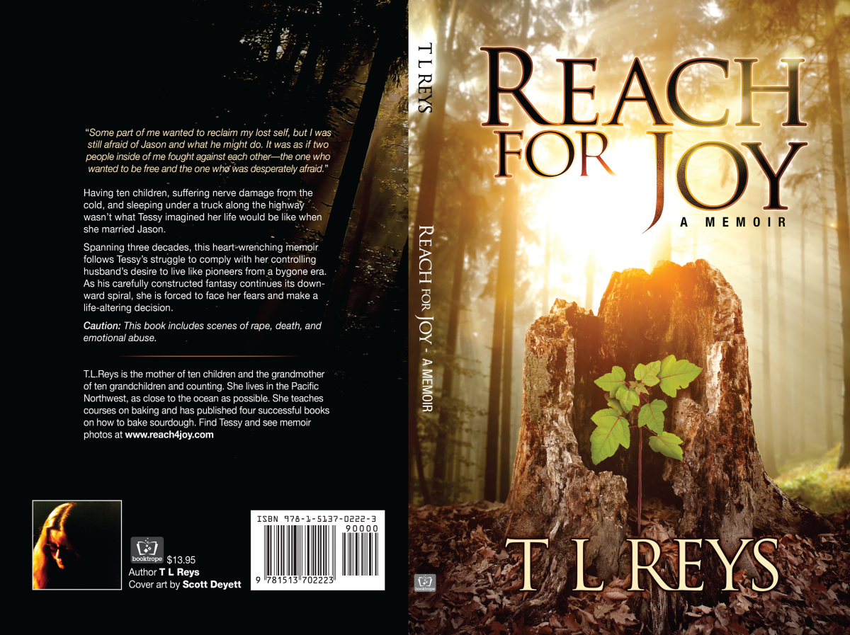 bookcover1200