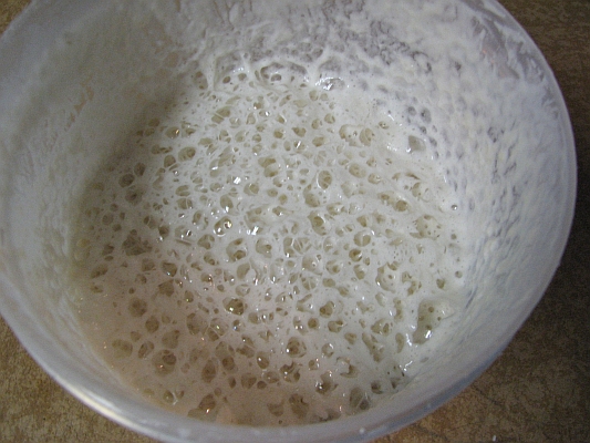 Sourdough Starter