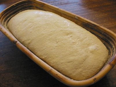 proofed dough