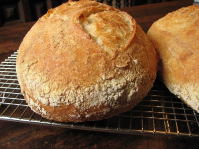 Italian Sourdough