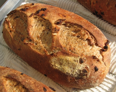 Serious Onion Rye Sourdough