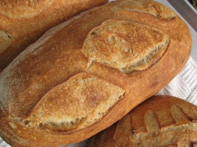 Basic Sourdough with San Francisco Starter