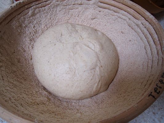 Buried Bread Dough