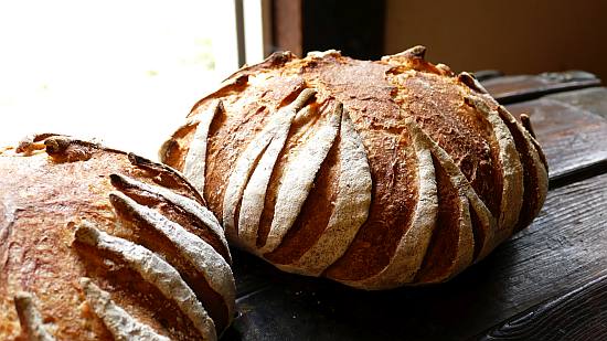 Sunflower Bread
