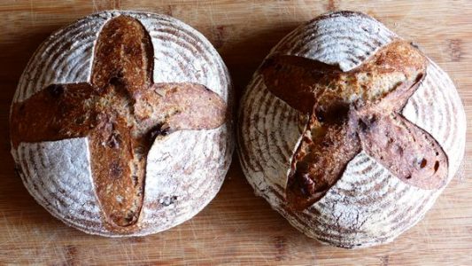 Cranberry Walnut Sourdough