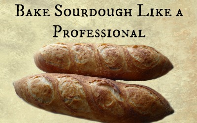 Professional Sourdough Bread Baking