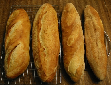 All four Vienna Loaves