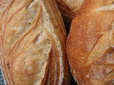 closeup